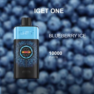 IGET ONE BLUEBERRY ICE – 12000 PUFFS