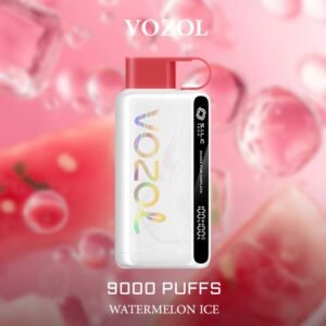 VOZOL WATERMELON ICE – 9000 PUFFS