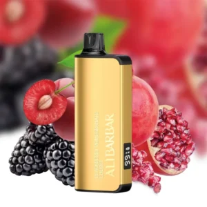 ALIBARBAR INGOT CHERRY POMEGRANATE – 9000 PUFFS