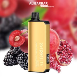 ALIBARBAR INGOT BLACKBERRY CHERRY POMEGRANATE – 9000 PUFFS