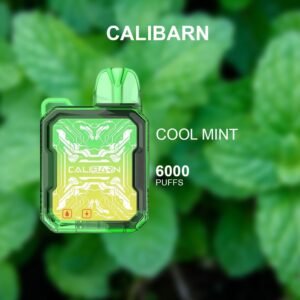 CALIBARN COOL MINT – 6000 PUFFS